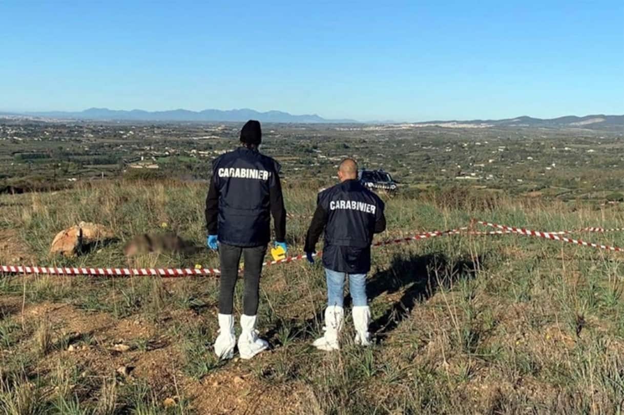 Cagliari, tragedia durante una battuta di caccia: morti due giovani ...