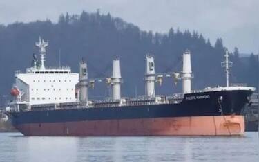 Nave Argentina Vaiolo scimmie