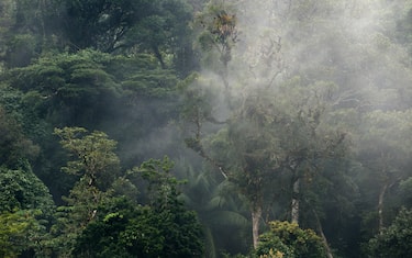 clima