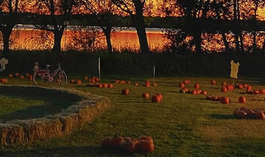 Il Campo dei Fiori a Galbiate (LC)