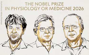 nobel medicina 2026