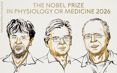 nobel medicina 2026