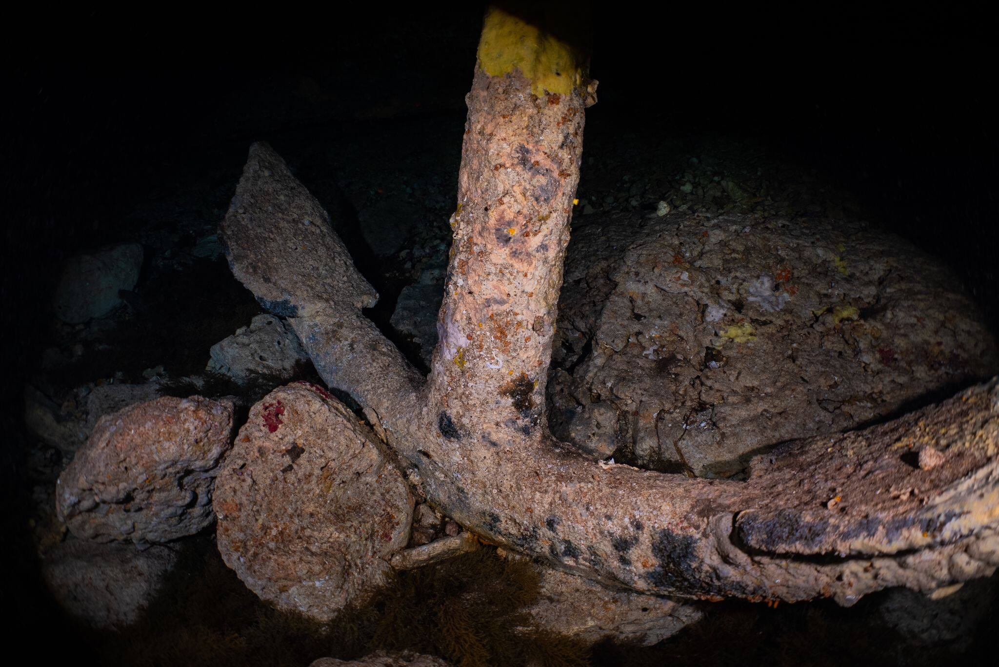 Ancora antica 200 anni 