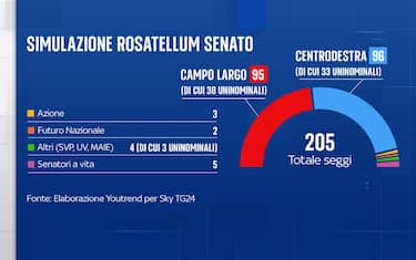 Elaborazione Youtrend per Sky TG24