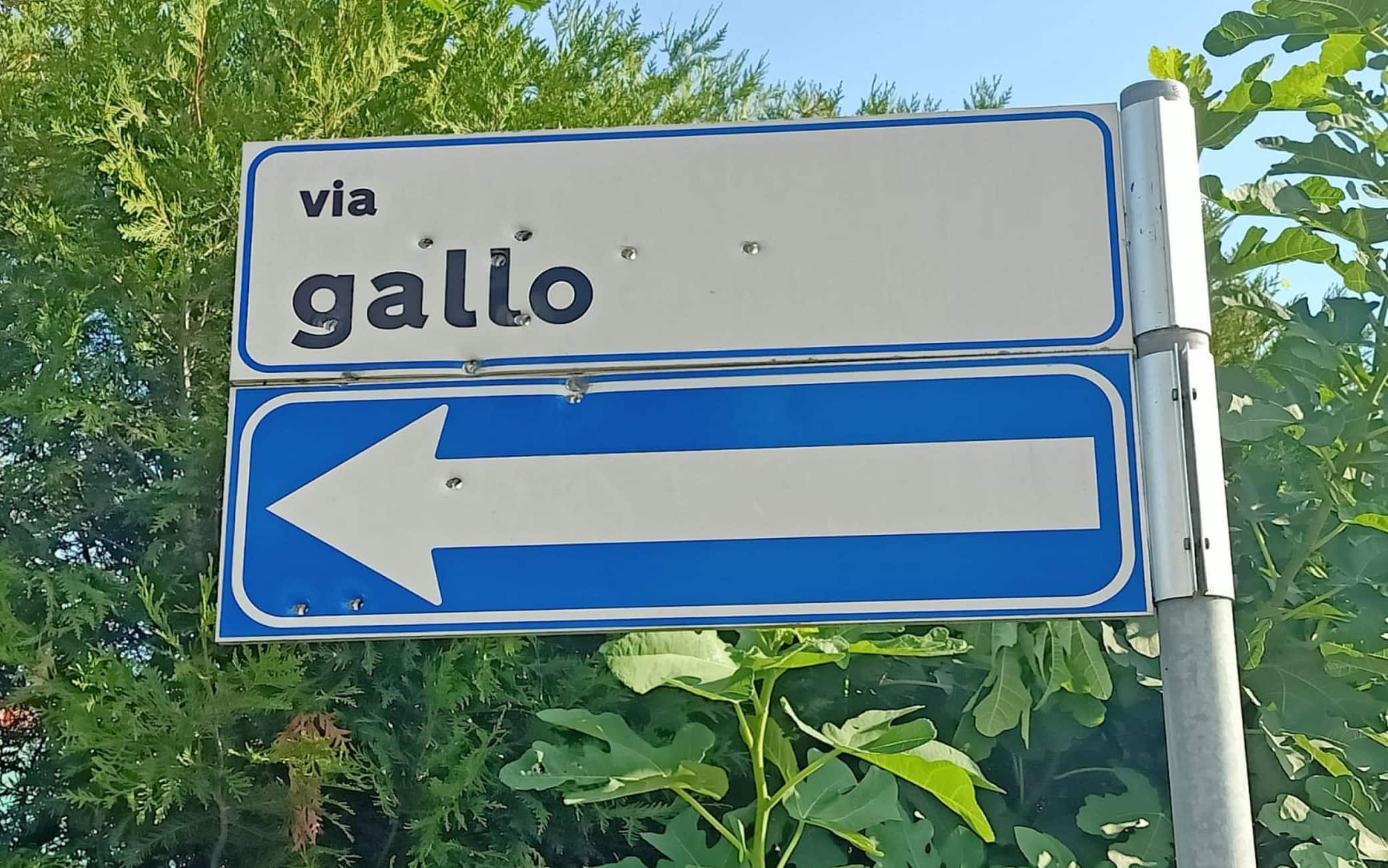 I cartelli stradali a cui ha sparato la guardia giurata ieri sera a Cortefranca in provincia di Brescia, ferendo bambino di tre anni affacciato alla finestra di casa. Roma, 16 agosto 2022. ANSA/RED