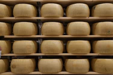 Parmigiano reggiano