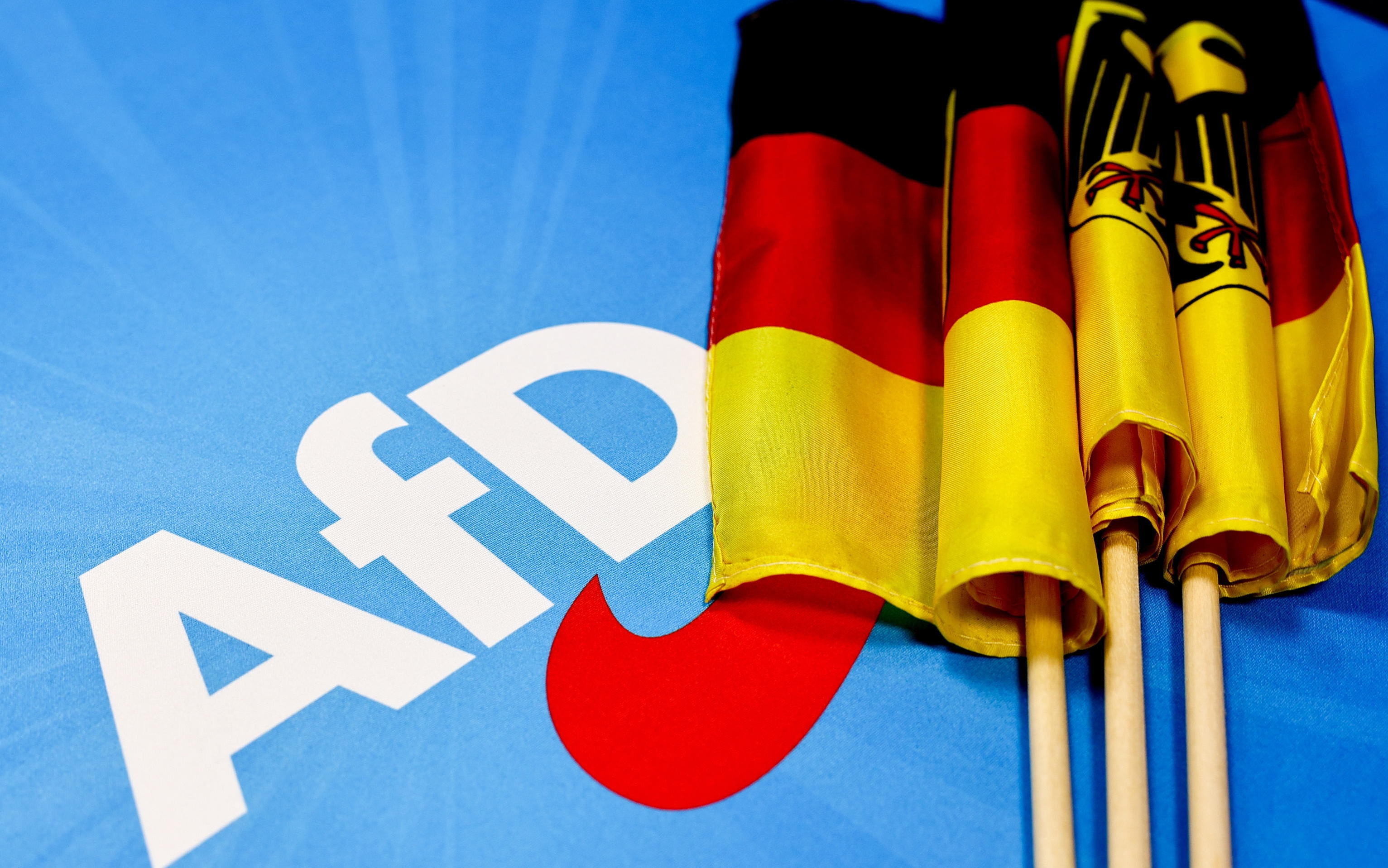 afd news | Sky TG24