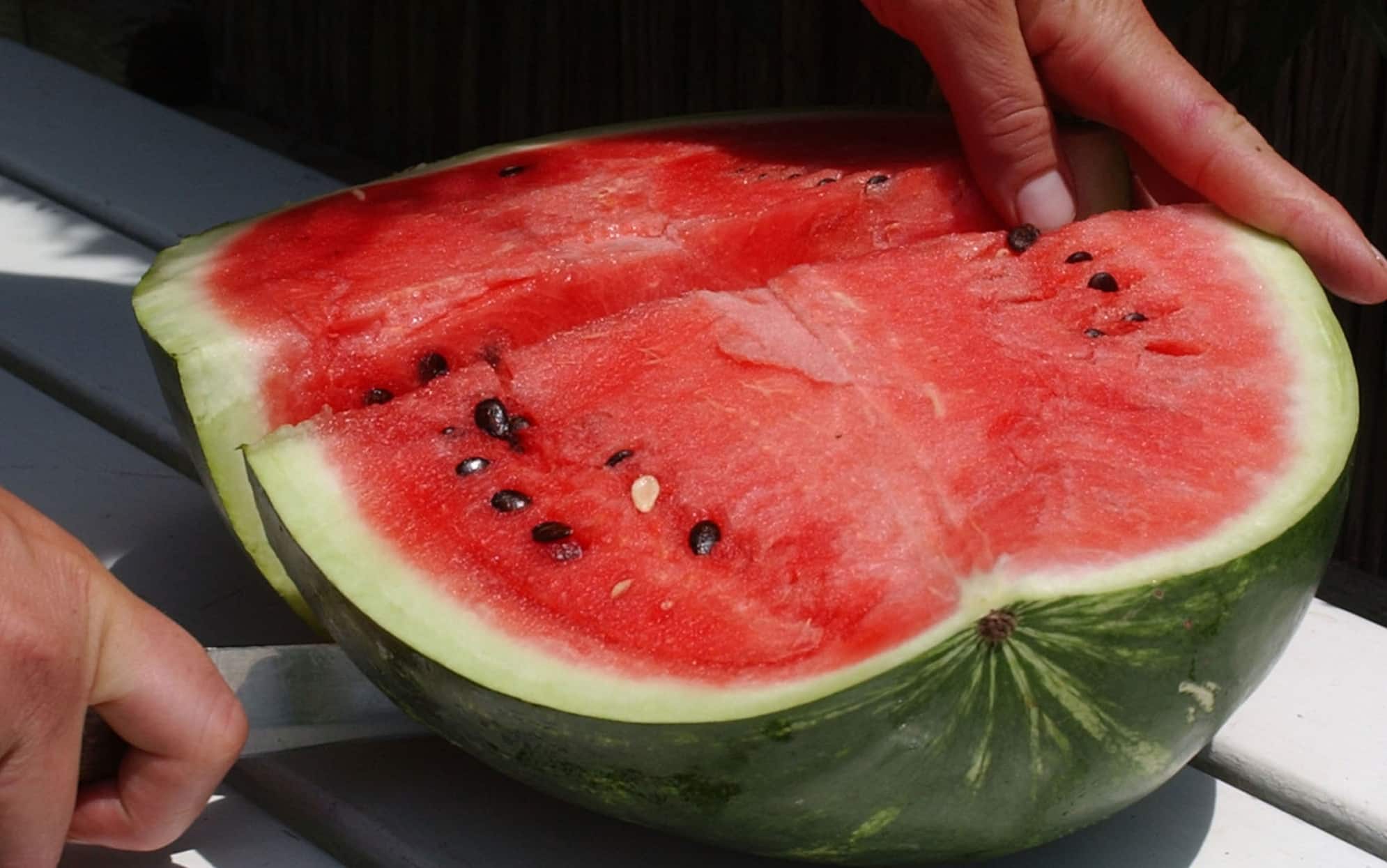 Frutta e verdura di stagione: la lista completa di agosto