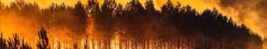Incendi in Europa