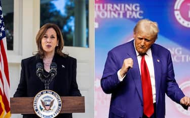 trump e harris