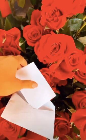 Immagine tratta dal profilo Instagram @dilettaleotta