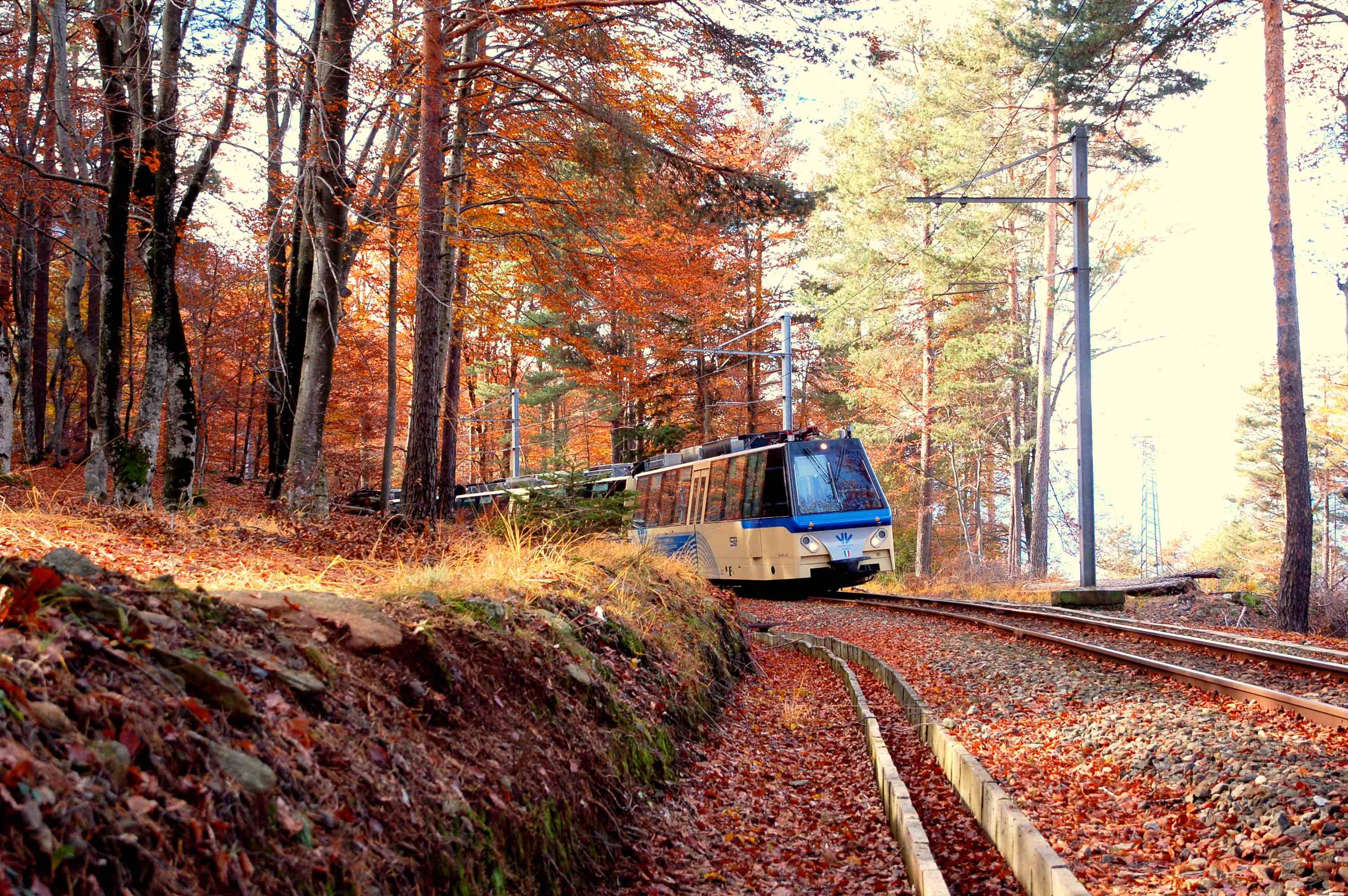Treno del Foliage