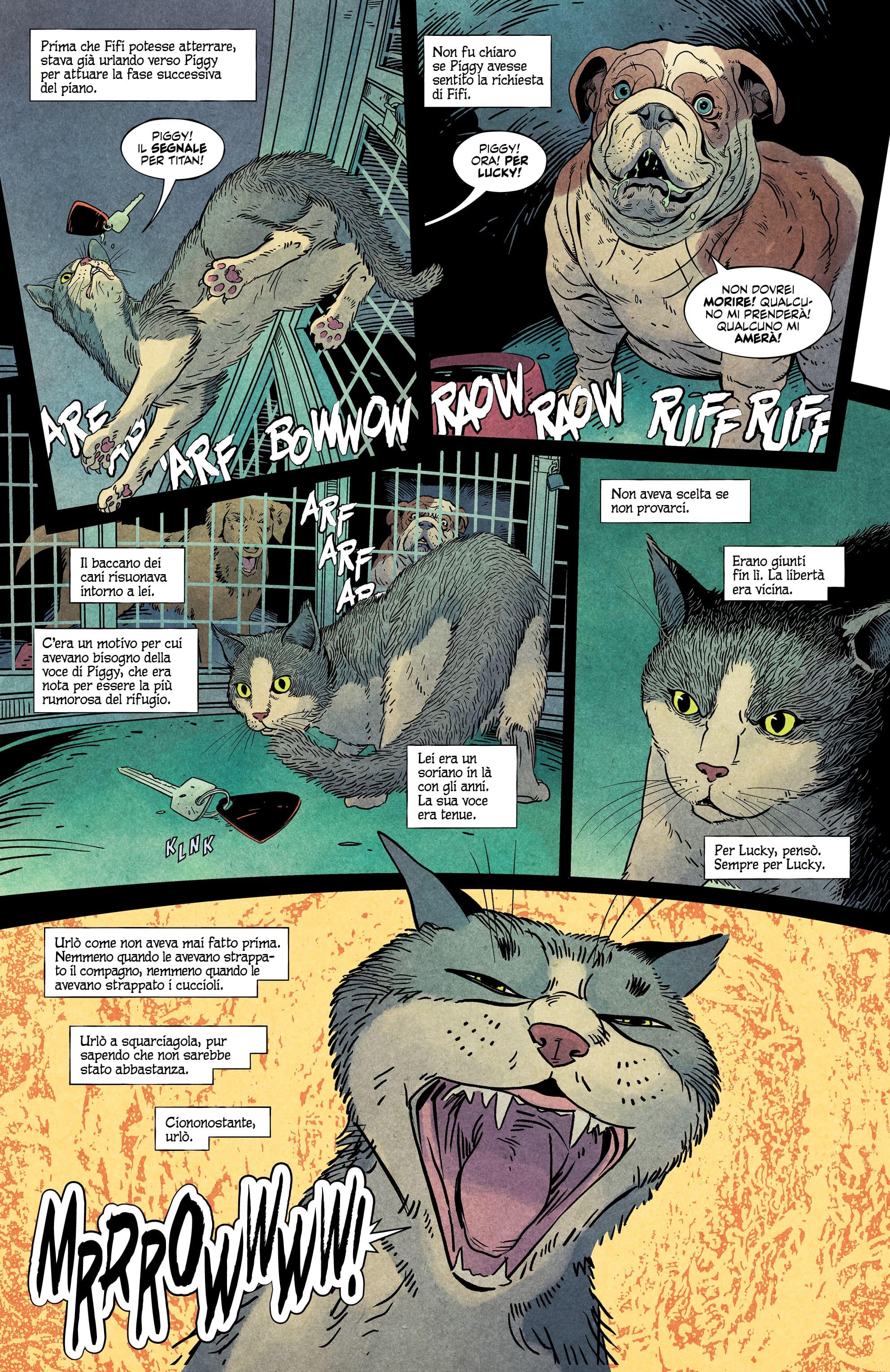 Una tavola tratta da Animal Pound di Tom King e Peter Gross (BAO Publishing)