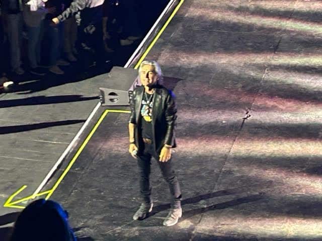 Ligabue