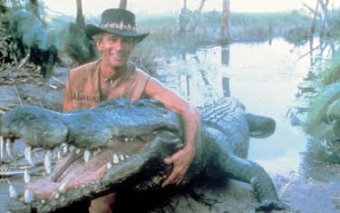crocodile dundee