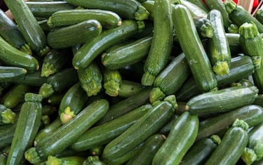 Zucchine