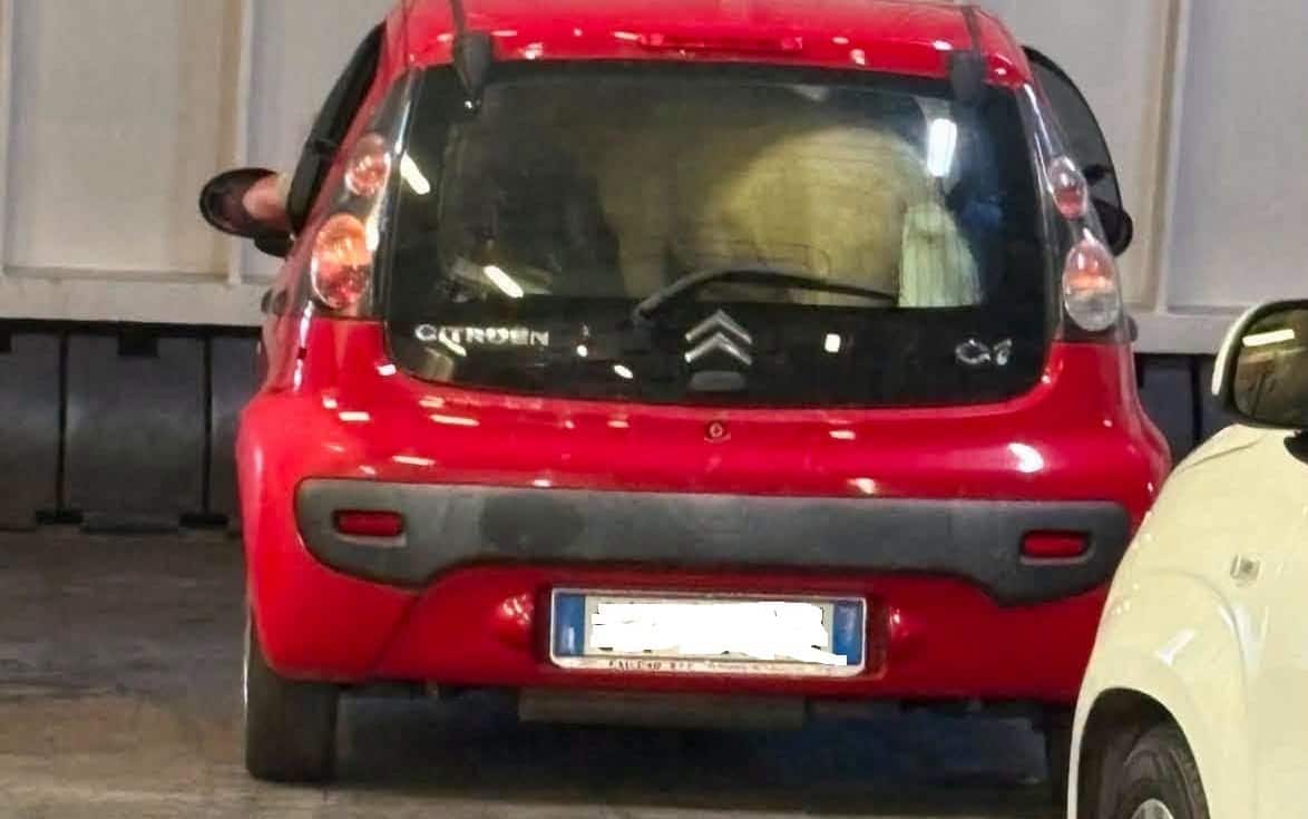 Pony nel bagagliaio sul traghetto per Ischia
