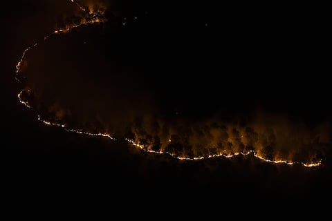 epa13138939 A handout photo made available by the Fire and Rescue Departmental Service 33 (SDIS 33) shows a forest fire near Le Porge, in southwestern France, 29 July 2026, as a wildfire rages through the forest in Gironde.  EPA/SDIS33/BENOIT VEGA HANDOUT HANDOUT EDITORIAL USE ONLY/NO SALES