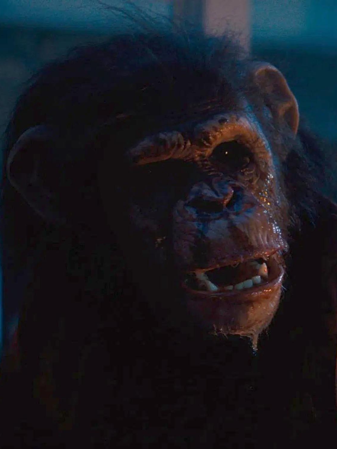 Ben – Rabbia animale e le scimmie nel cinema horror: da King Kong a ...