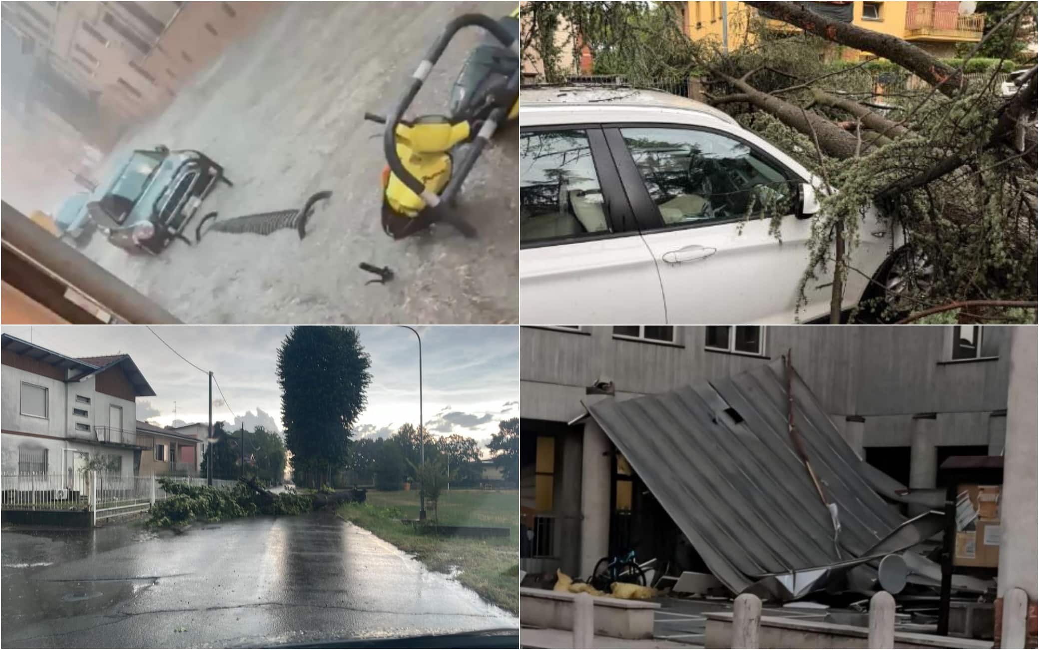 Maltempo, in Emilia-Romagna si contano i danni: alberi caduti e famiglie evacuate. FOTO