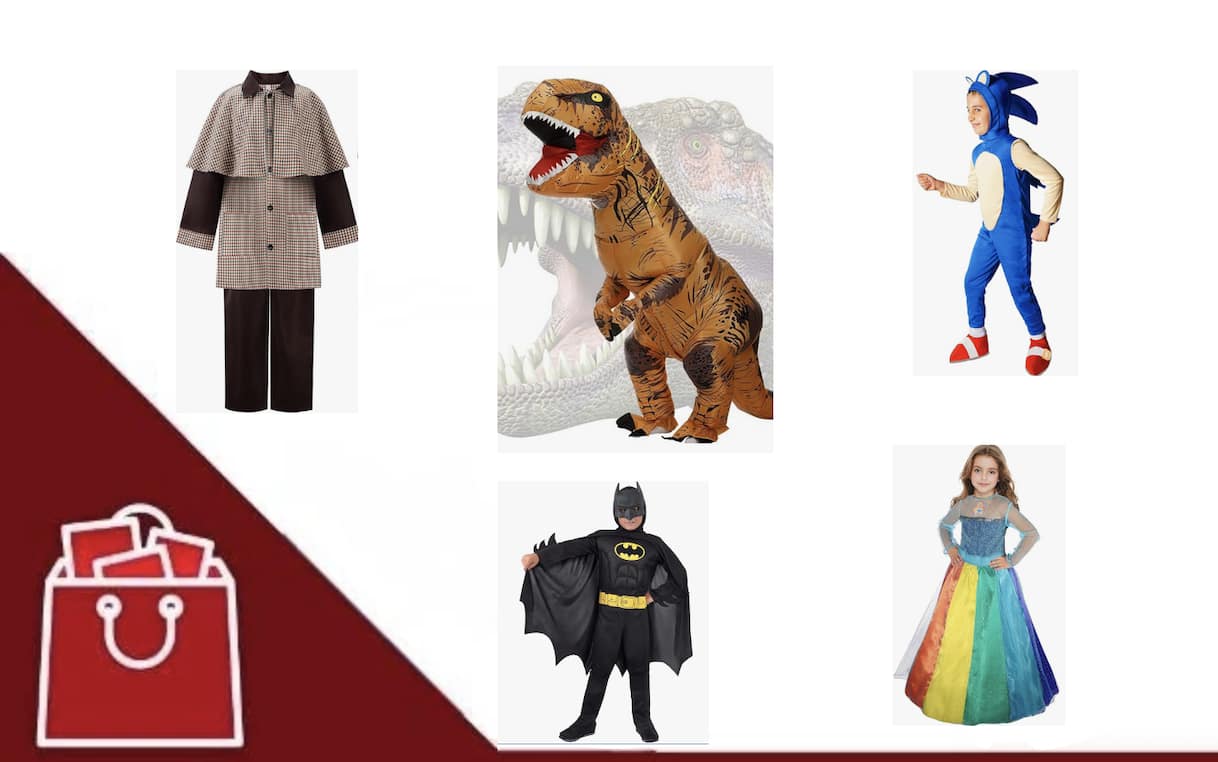 vestiti di carnevale per cagnolini