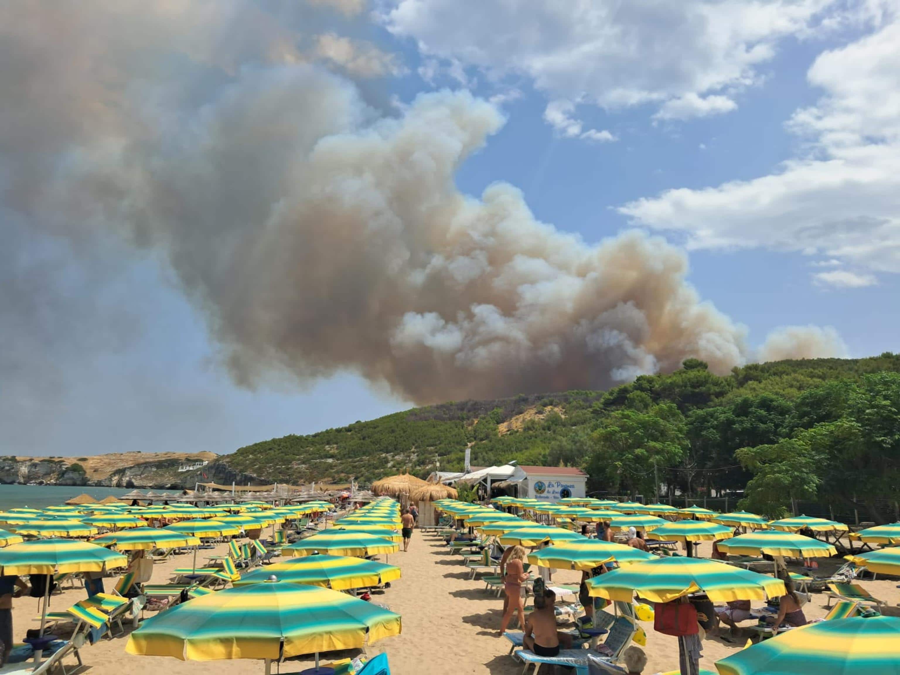 Un vasto incendio in località Pile Fraballe, zona rurale e periferica nel comune di Peschici (Foggia), nei pressi di Difesa di Manaccora, Peschici 26 luglio 2026. US FERROVIE DEL GARGANO +++FOTO DIFFUSA DALL'UFFICIO STAMPA - USARE SOLO PER ILLUSTRARE OGGI LA NOTIZIA INDICATA NEL TITOLO - NON ARCHIVIARE - NON VENDERE - NON USARE PER FINI NON GIORNALISTICI - NPK+++