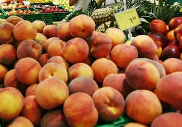 MILANO - SUPERMERCATO - SPESA - SUPERMARKET