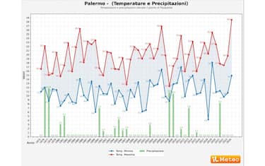 Copia di sagome uccelli autostrada - 1