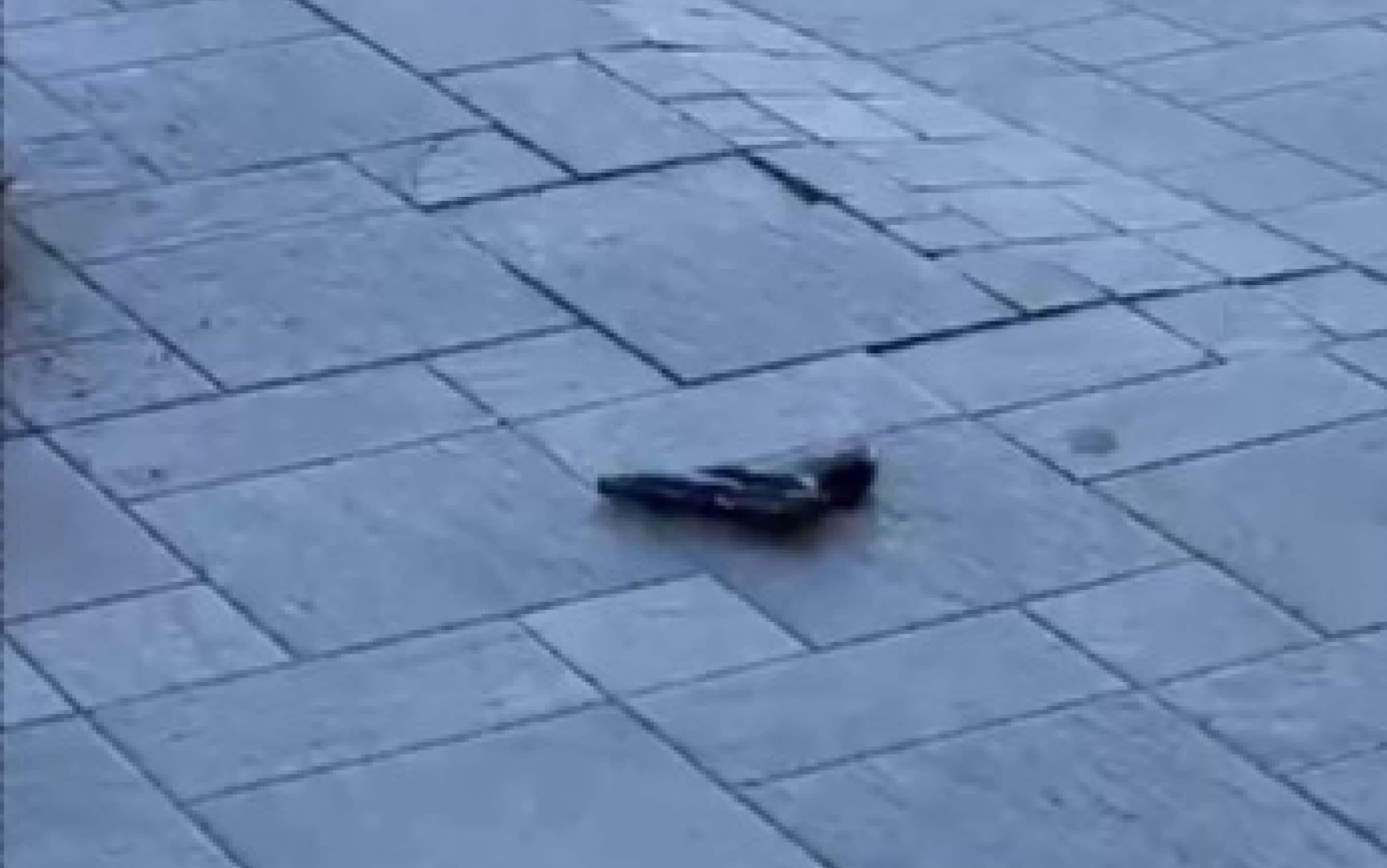 La pistola calibro 7,65  con la quale un 80enne ha fatto fuoco contro due uomini, probabilmente due imprenditori, ferendoli entrambi, nel centro commerciale di Alife, nel Casertano, 22 Aprile 2025. ANSA/Per gentile concessione MATESE NEWS Informazione+++ATTENZIONE LA FOTO NON PUO' ESSERE PUBBLICATA O RIPRODOTTA SENZA L'AUTORIZZAZIONE DELLA FONTE DI ORIGINE CUI SI RINVIA+++ +++NO SALES; NO ARCHIVE; EDITORIAL USE ONLY+++NPK+++