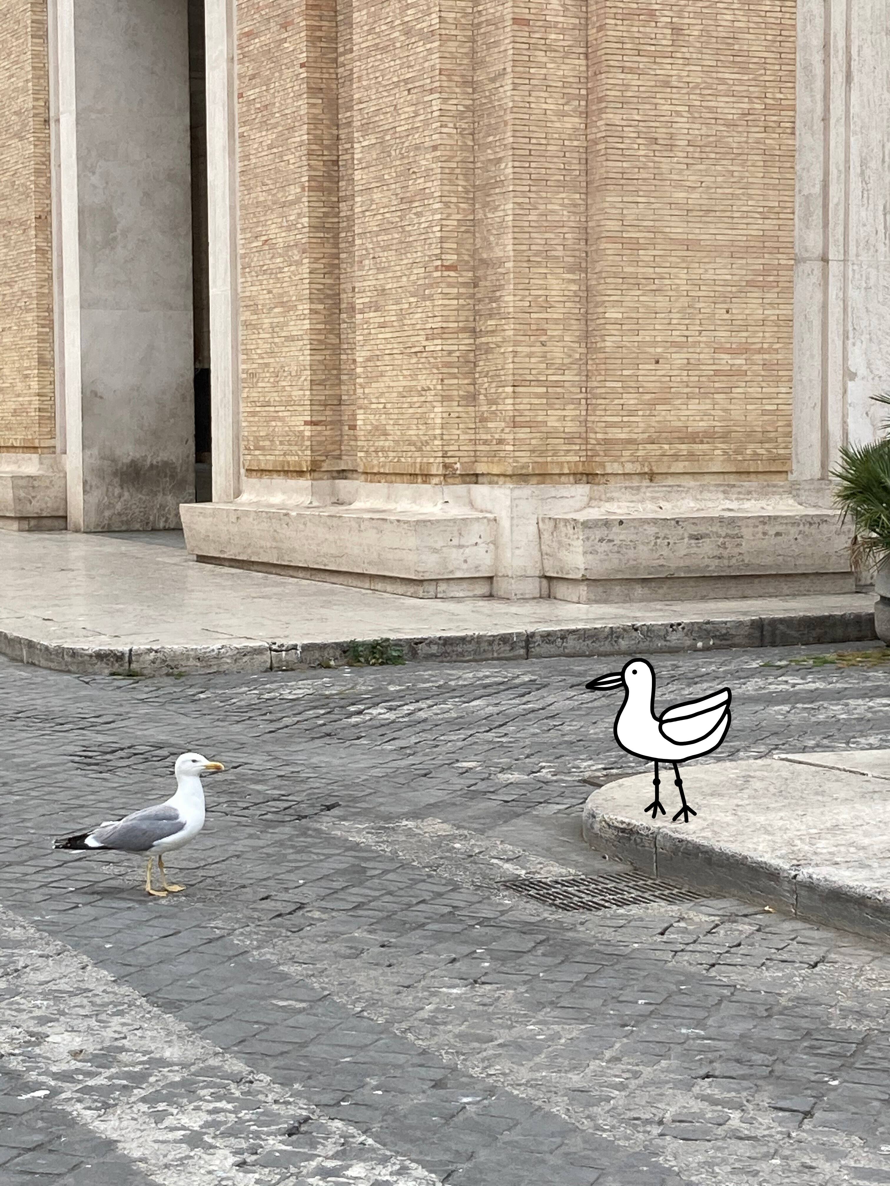 Il gabbiano mascotte del gioco
