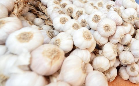 Un'immagine dei prodotti esposti durante il secondo giorno di apertura di "Terra Madre e Salone del Gusto" nelle Piazze del centro a Torino, 23 Settembre 2016 ANSA/ALESSANDRO DI MARCO