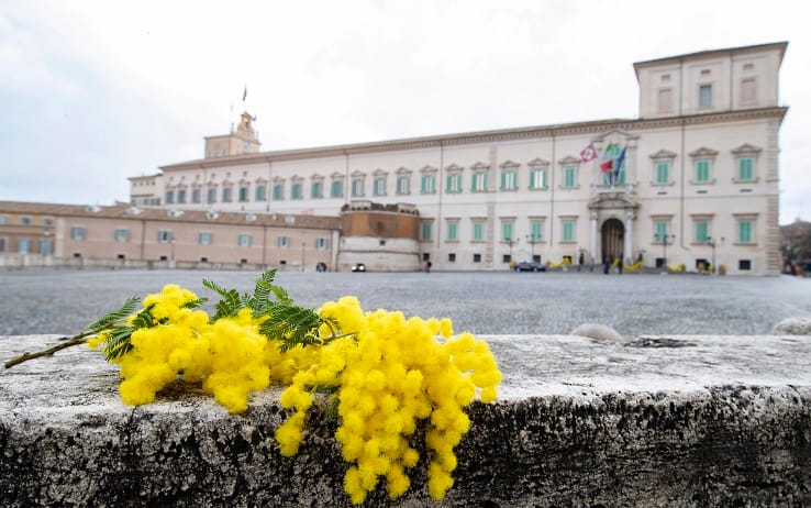 festa della donna al quirinale, mimose