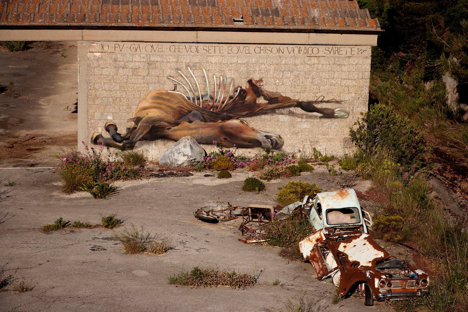 Memento Case Ma Claim