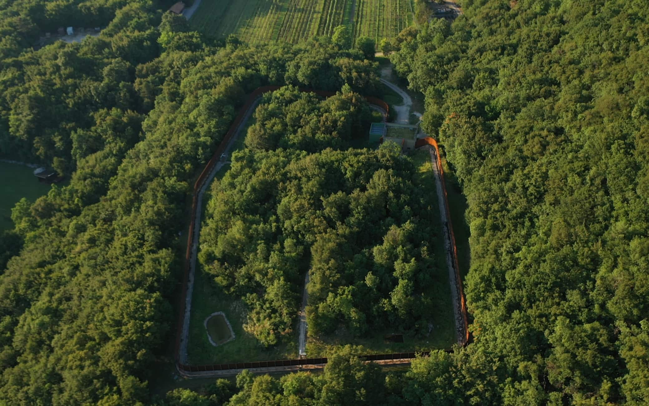 recinto casteller orso m49