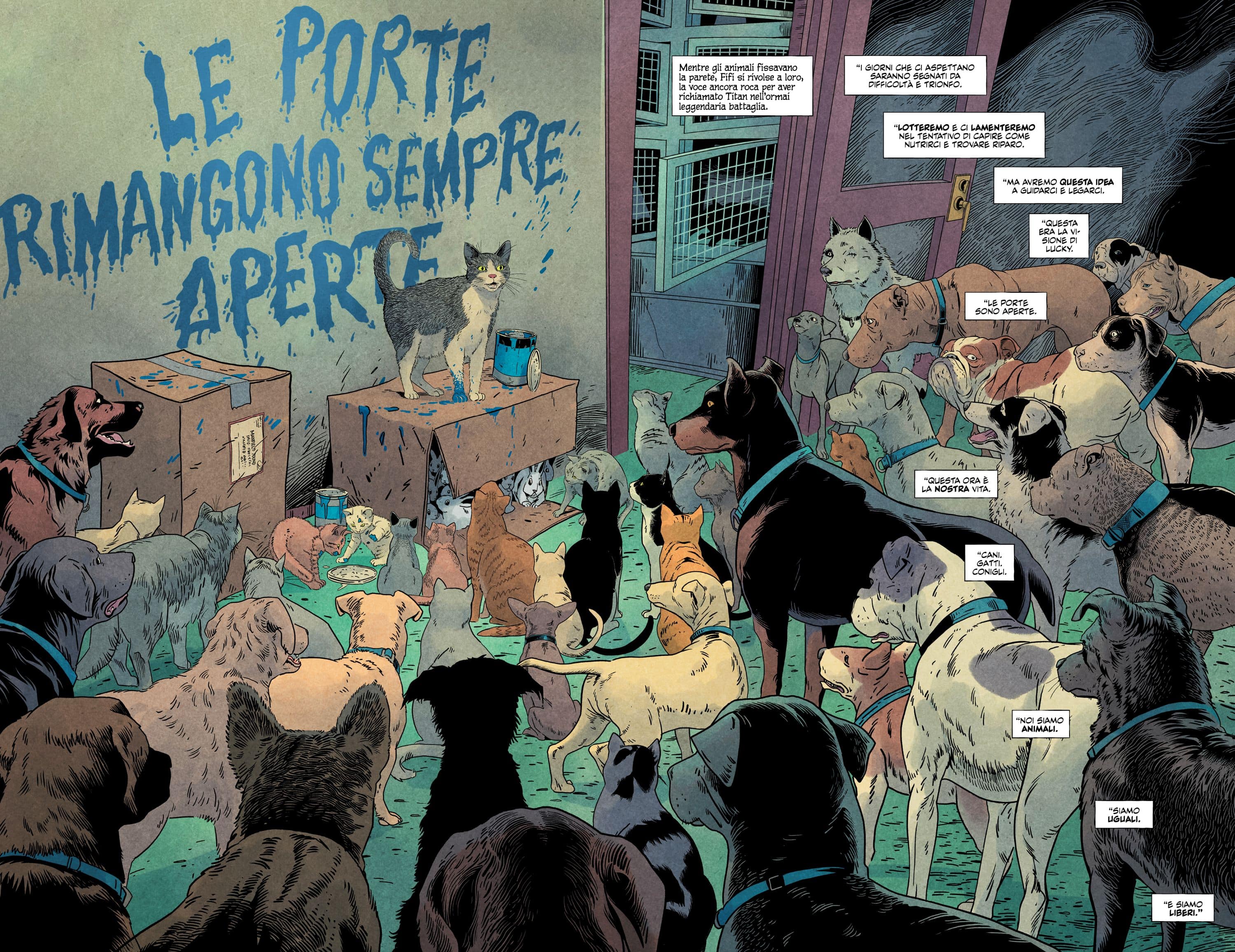 Una tavola tratta da Animal Pound di Tom King e Peter Gross (BAO Publishing)