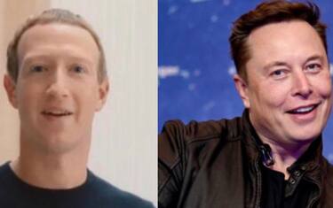 Musk-Zuckerberg