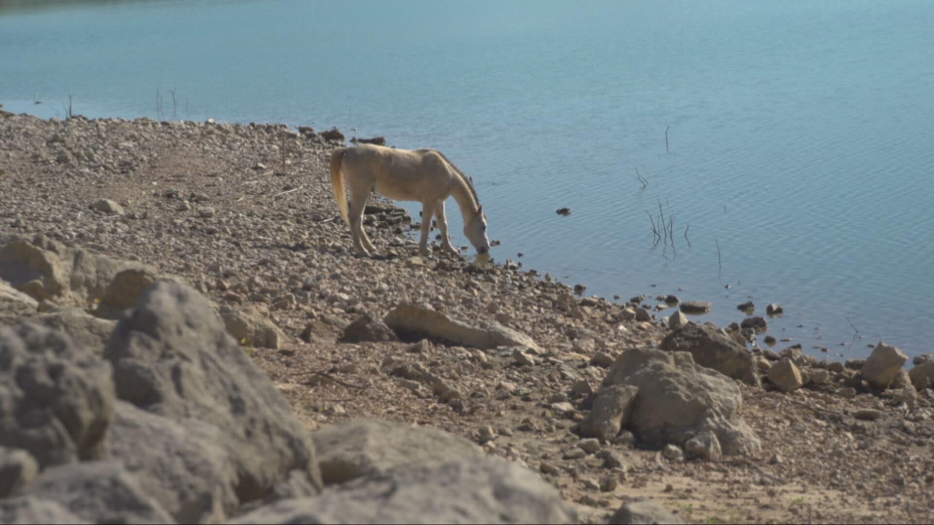 Diga di Poma ai livelli minimi