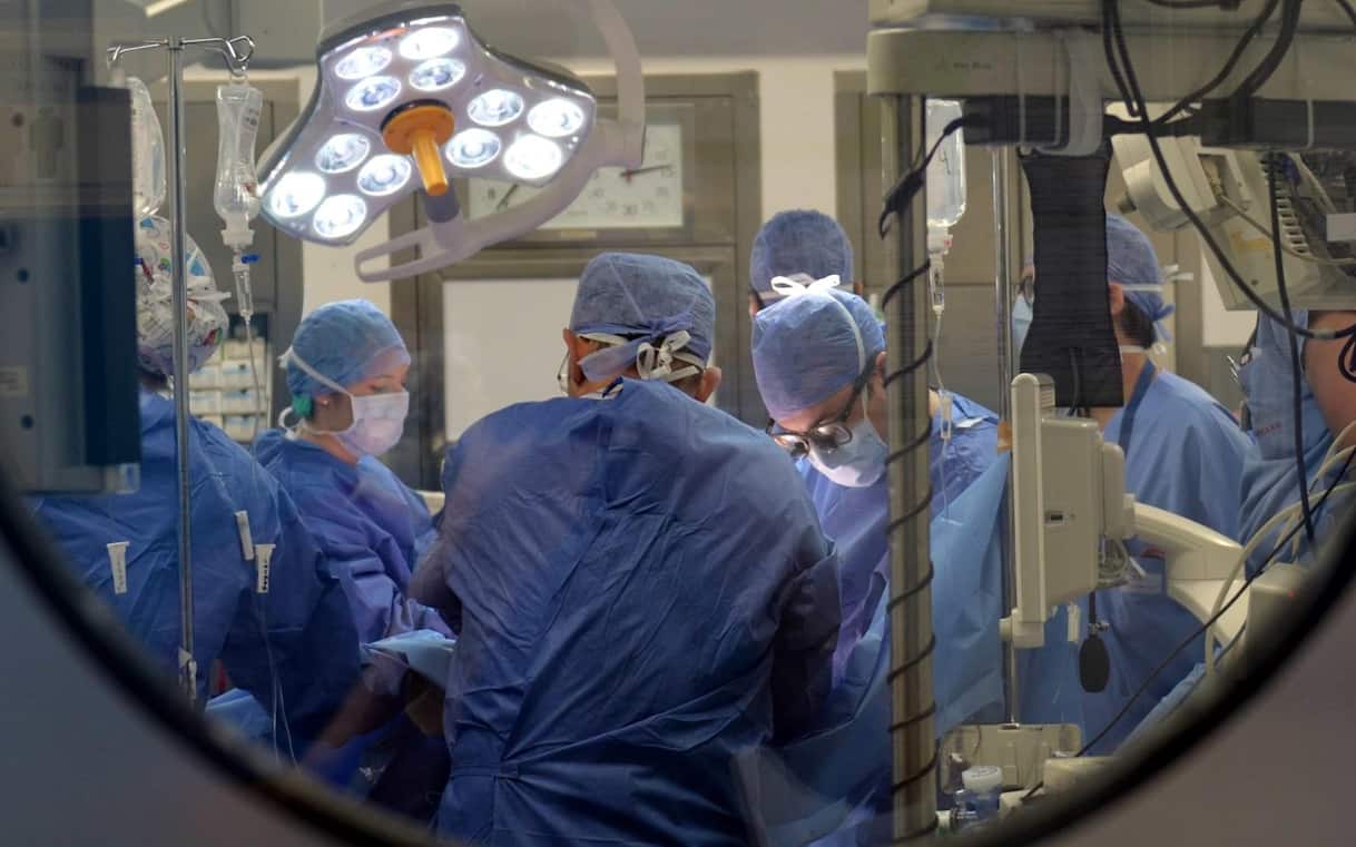 Napoli, salta il trapianto di cuore per un bimbo di 2 anni: organo ...