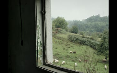 Nessuno vi farà del male