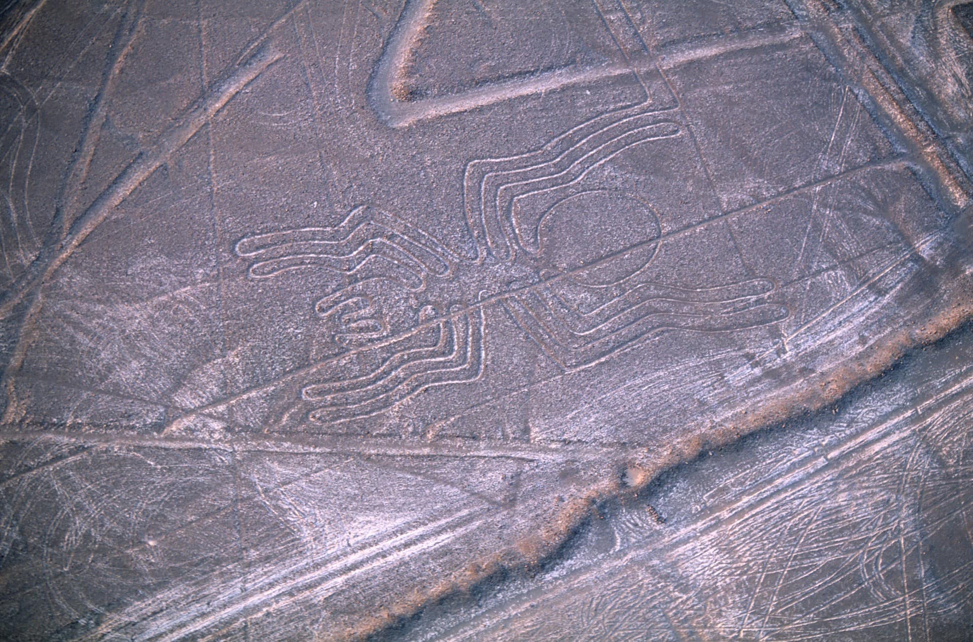 Linee di Nazca