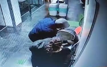 neonata rapita cosenza