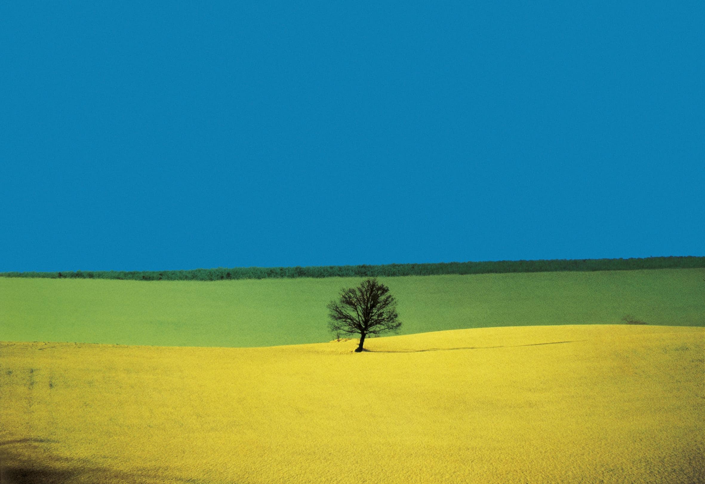 Uno scatto del fotografo Franco Fontana in una foto diffusa il 22 dicembre 2013 nell'ambito della mostra 'Franco Fontana. Full colors' in mostra dal 15 febbraio a Venezia. ANSA/ UFFICIO STAMPA ++HO - NO SALES EDITORIAL USE ONLY NO ARCHIVE++