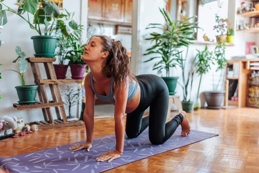 a pregnant Caucasian woman doing yoga cow pose on her yoga mat in her apartment while surrounded with plants