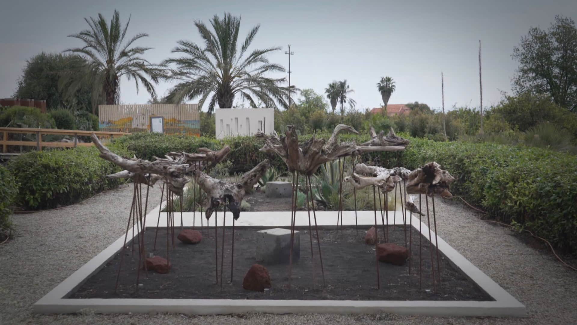 Il festival della Botanica a Giarre