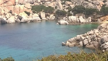 cala spinosa
