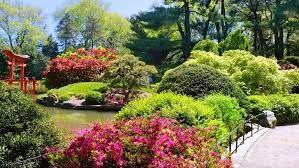 botanic