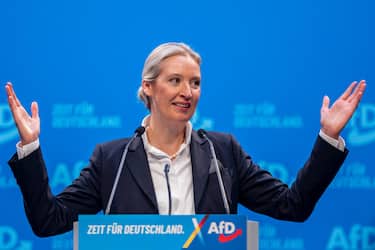 Alice Weidel
