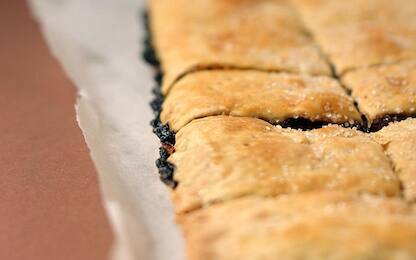 (AUSTRALIA OUT) Slices story. Garibaldi Slice - a slice filled with currants, raisins and sultanas and wrapped in shortcrust pastry on 20th July, 2004. THE AGE EPICURE Picture by REBECCA HALLAS. (Photo by Fairfax Media via Getty Images/Fairfax Media via Getty Images via Getty Images)