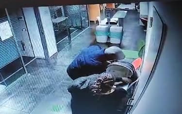 neonata rapita cosenza