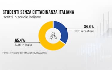 Le norme del tetto per gli stranieri in classe nel decreto Scuola